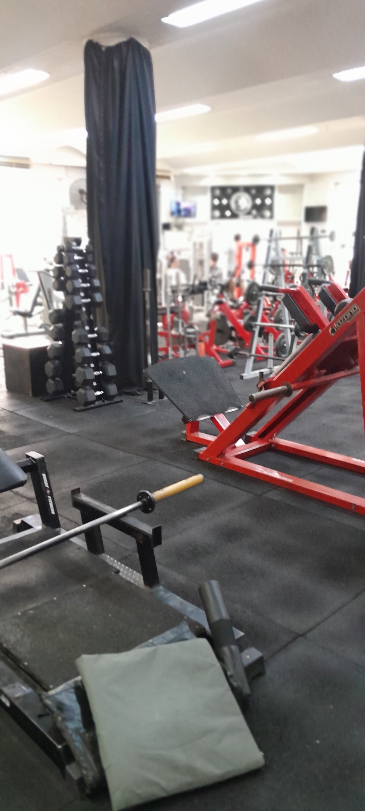Sector de pesas y musculación de Cortis Gym Temperley con jaulas y mancuernas