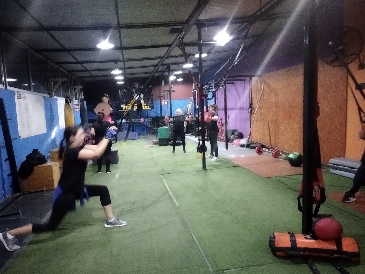 Sector de pesas y musculación con racks de fuerza y mancuernas